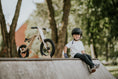 Bild in Galerie-Betrachter laden, Kids’ Bike Accessories